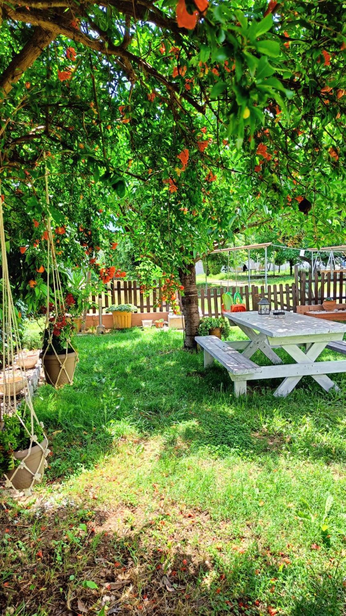 Garden House Katerina Apart otel Leptokarya  Dış mekan fotoğraf